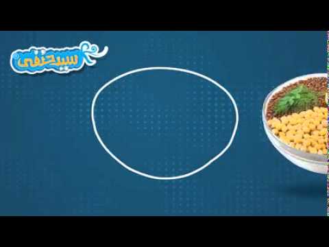 105 كشرى سيد حنفى