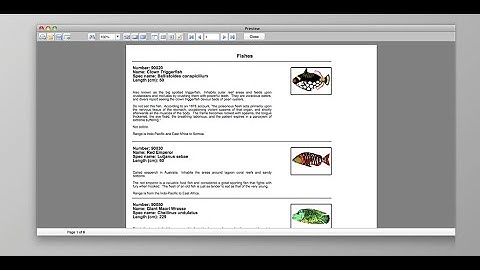 Como Instalar o FastReport FMX no Delphi 12.3 Athens Atenas, 11.3 Alexandria e 10.4.2 Sydney RAD