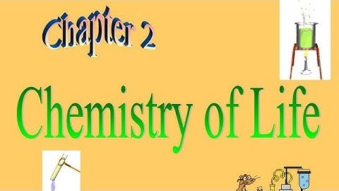 Class 10th Aml Char Aur Lavan Objective Question || Acid Base And Salt Objective Question