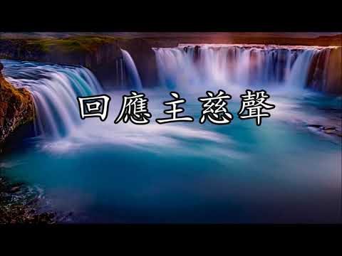生命聖詩324 | 回應主慈聲 | I Heard the Voice of Jesus Say | VOX DILECTI