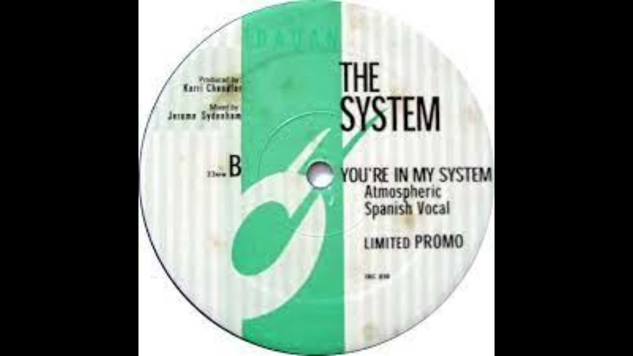 The System — The system - You're in my system (Kerri Chandler