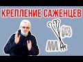 Закрепляем саженцы / Опоры и фиксаторы для деревьев / Игорь Билевич