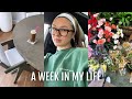 WEEK IN MY LIFE: new furniture, haul, etc