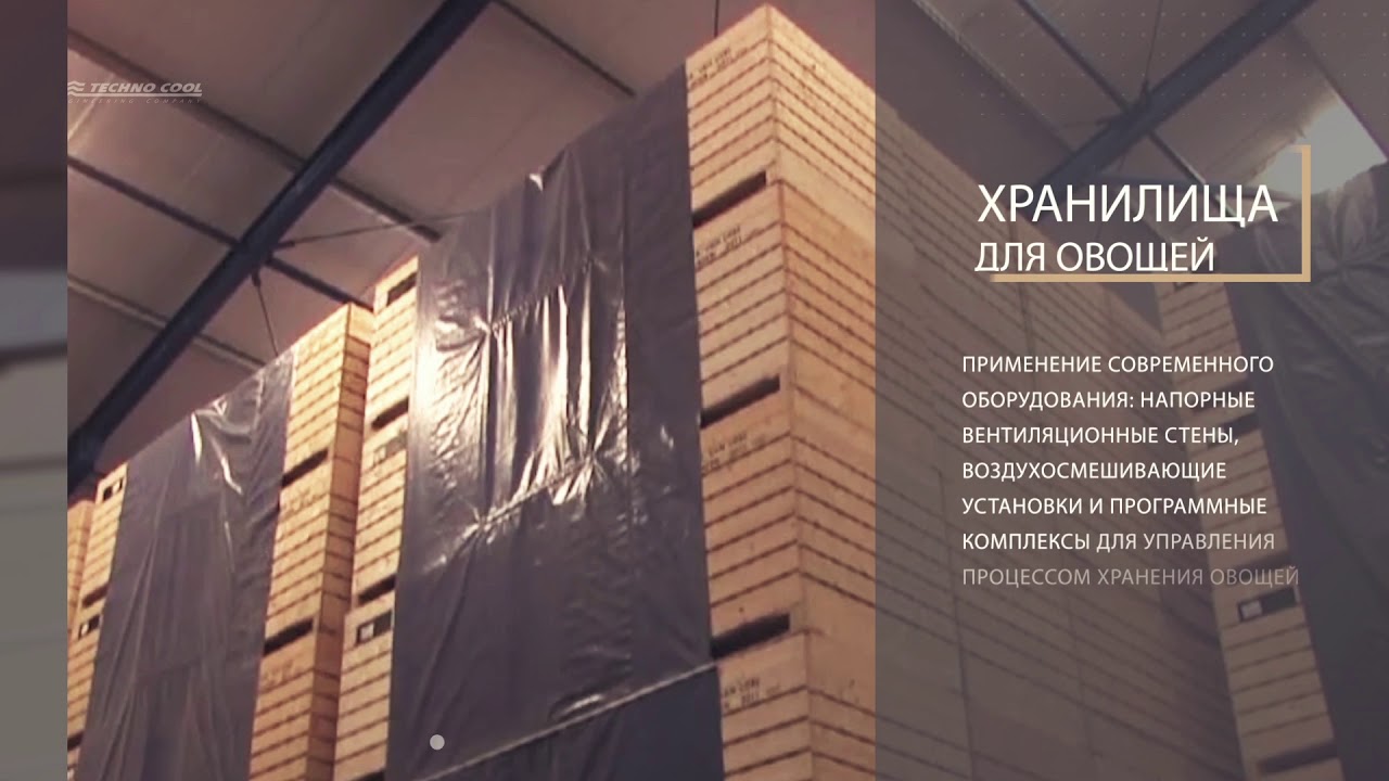 Techno Cool reference