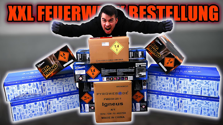 Meine XXL SILVESTER BESTELLUNG 🧨💥 2500€ FEUERWERK AUSPACKEN! 🔥😍