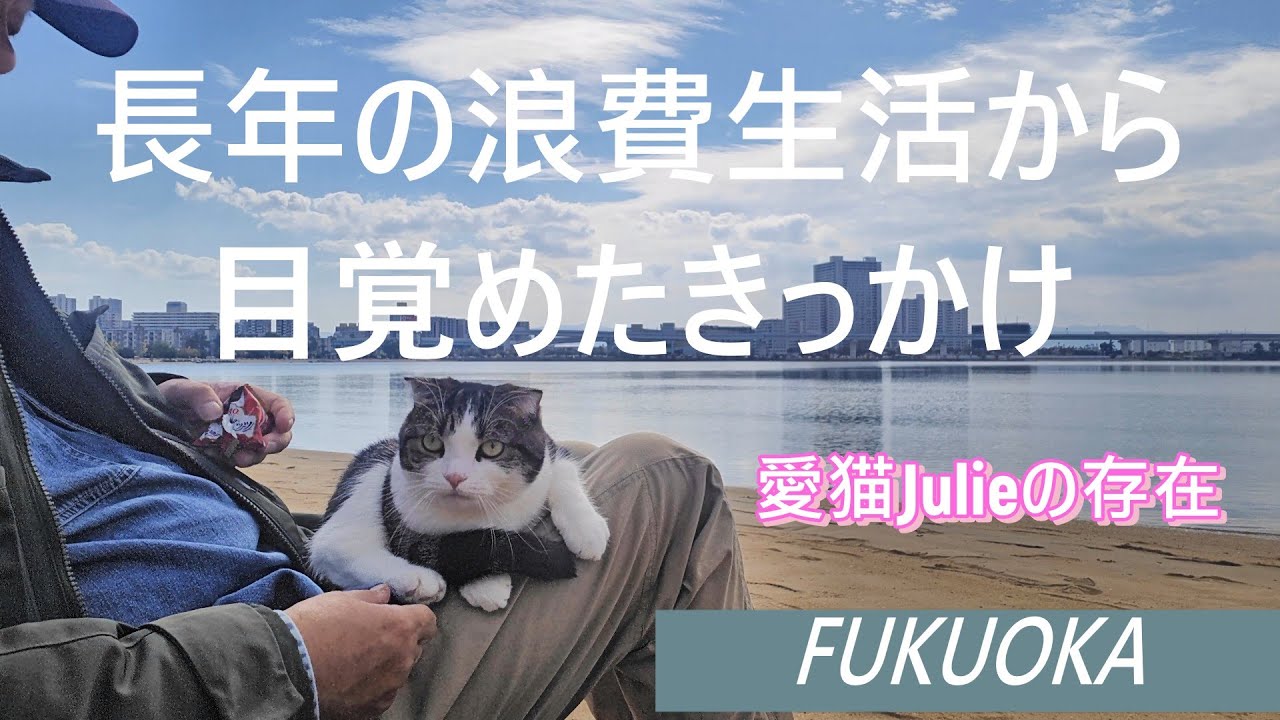 あと３カ月で６０歳【長年の浪費生活から目覚めたきっかけと愛猫Julieの存在】福岡 香椎海岸でのゆったりとした休日ルーティン