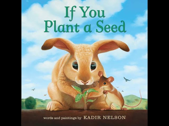 oversized plant pots Lucy Garden Pot  The Balcony Garden US