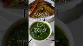 Garden Fresh Egg Toast (Green Toast) #budgetfood #desifood #sundayspecial #breakfastrecipe #easy
