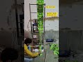 Chai packing , Tea packing , Pouch packaging machine #shortvideo #teapackingmachine