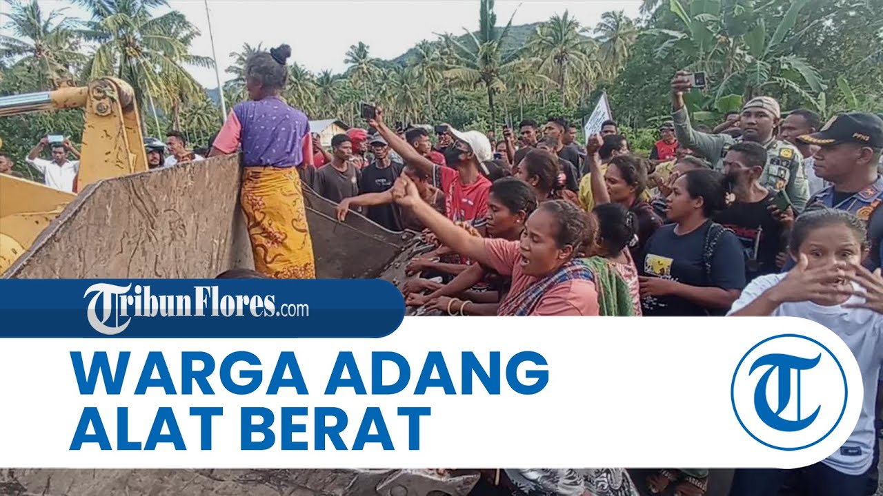 Pembersihan Lahan Eks HGU Nangahale Sikka Ricuh, Warga Adang Alat Berat