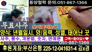 사주,운세, 풍수, 개운법, 주식, 법률,