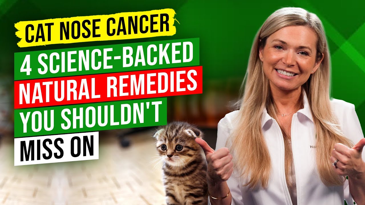 does-your-cat-have-nose-cancer-these-4-herbs-and-spices-can-help