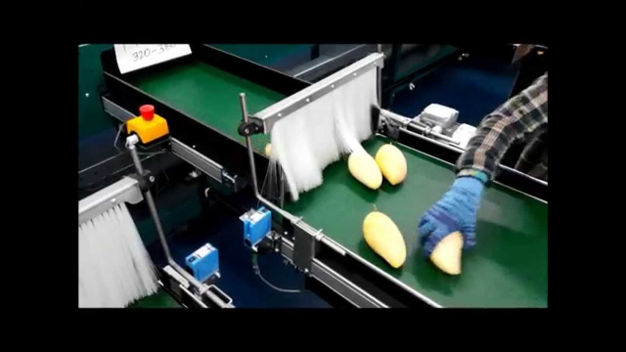 Greefa MSE/CXL sorting machine for mangoes
