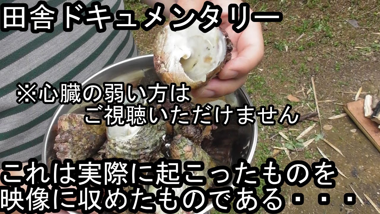 危険 シッタカ ニナ貝 を網焼きしてたら した qでつぼ焼き Youtube