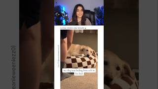 HER DOG WAS HIDING BROCOLLI 😭