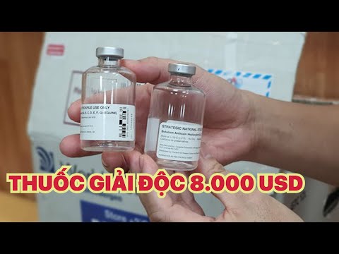 Khẩn trương nhập 6 lọ thuốc giải độc cực hiếm cứu bệnh nhân ngộ độc ở Bình Dương 