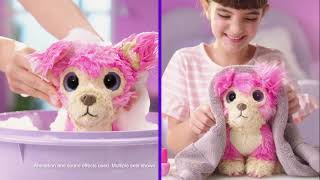 ✂️💧 Scruff a Luvs Cutie Cuts | You can 