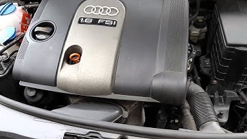 Audi A3 1.6 FSI Steuerkette - Rasseln beim Kaltstart (timing chain rattle)