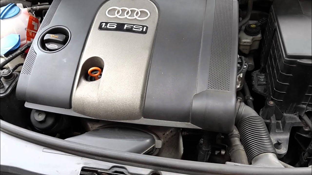 Audi A3 1.6 FSI Steuerkette Rasseln beim Kaltstart (timing chain rattle) YouTube