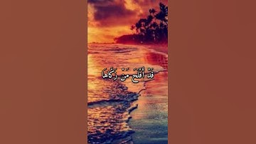 قَدْ أَفْلَحَ مَنْ زَكَّاهَا❤️#راحة_نفسية #سورة_الشمس