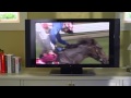 Galway Hurdle Video Vault