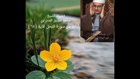 والله أنزل من السمآء مآء فأحيا به الأرض بعد موتها سورة النحل الآية { ٦٥ } الشيخ محمد صديق المنشاوي