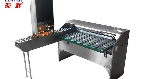 ZENYER 101B egg grader capacity of 4000 eggs/hour
