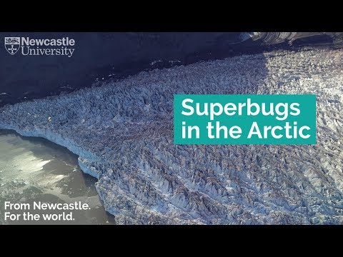 Newcastle University Find Antibiotic Resistant Genes In Arctic