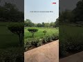 Raja Rampal Singh Park Lucknow🥳#lucknow #lucknowcity #travel #trendingreels #love #park #nature