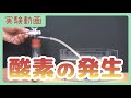 【実験動画】酸素の発生