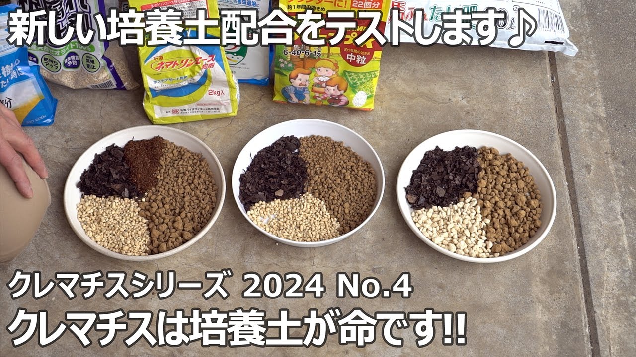 【クレマチスシリーズ 2024 No.4】クレマチスの培養土について