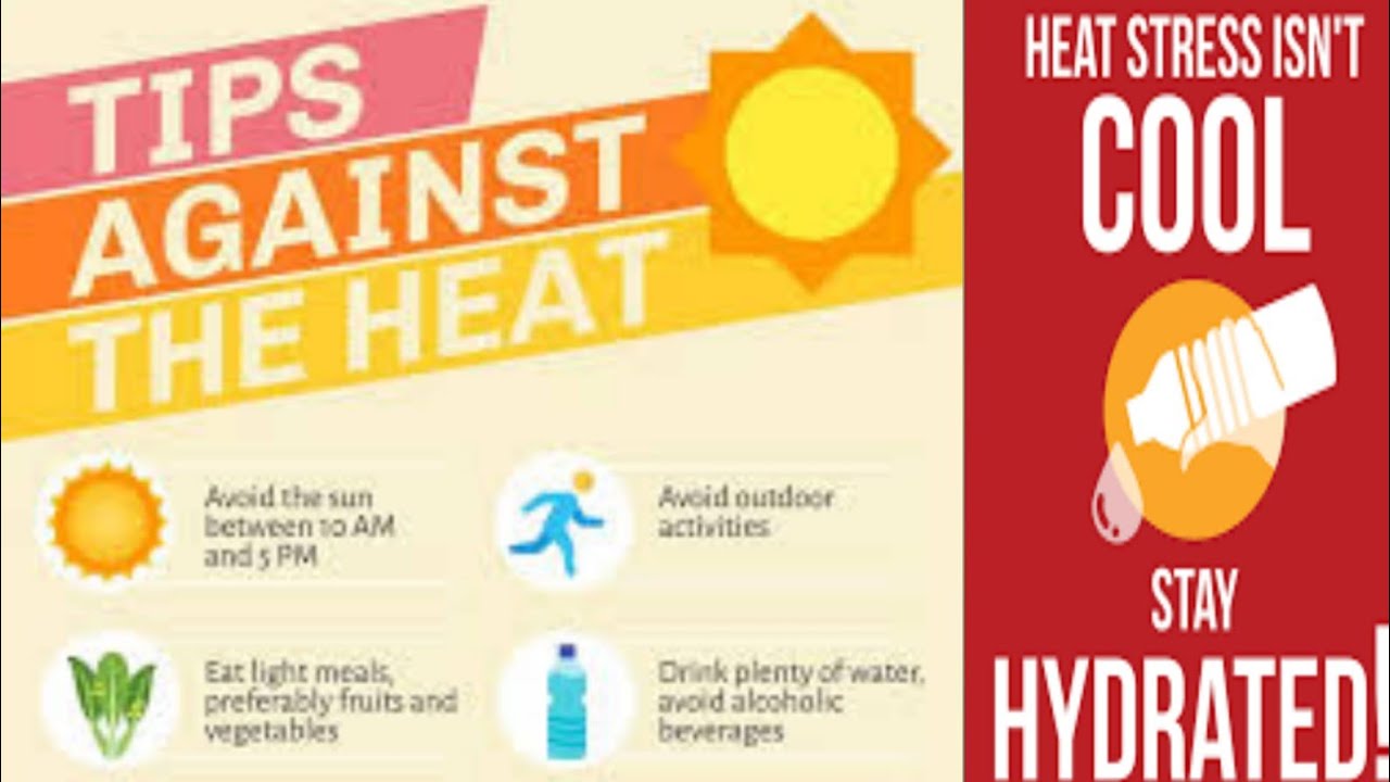 heat stroke how to prevent heat stroke how yo prevent diarrhea