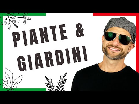 Video: Agli insegnanti piacciono le piante?