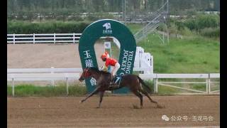 20260822 Chinese-Bred Thoroughbred 2YO Fillies 1200m (Race 4)