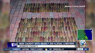 Florida Keys man caught with nearly 200 illegally-harvested lobster tails