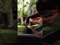 plants reporting with cute parrot 🦜🤍