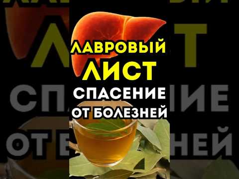 Лавровый лист: натуральная защита организма