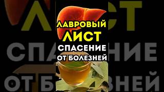 Лавровый лист: натуральная защита организма