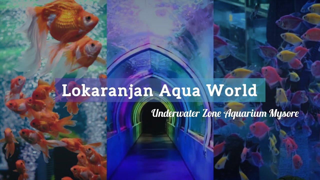 Lokaranjan Aqua World Underwater Zone Aquarium Mysore Marian Life