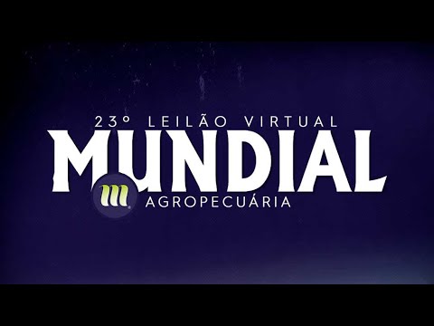 LOTE 89   DINAO DA MUNDIAL   MUN 5051 zap