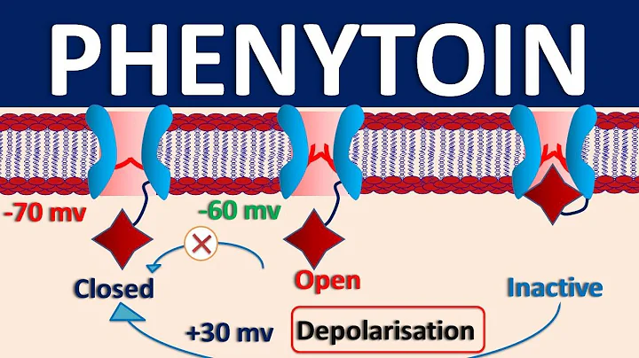 Phenytoin - Mechanism, side effects, precautions & uses - DayDayNews