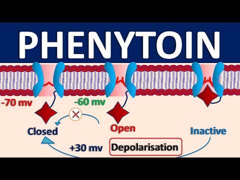 Video: Er phenytoin nulordens kinetik?