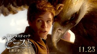 映画『ファンタスティック・ビーストと魔法使いの旅』オンラインSPOT（ニュート編2）【HD】2016年11月23日公開