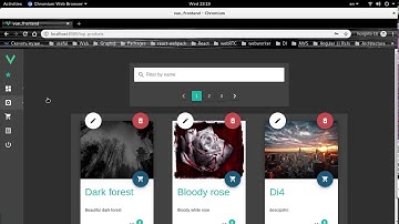 Web Shop Application Demo /Vue.js + Express.js/ Summer 2019