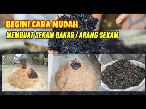 Cara Membuat Sekam Bakar Untuk Media Tanam
