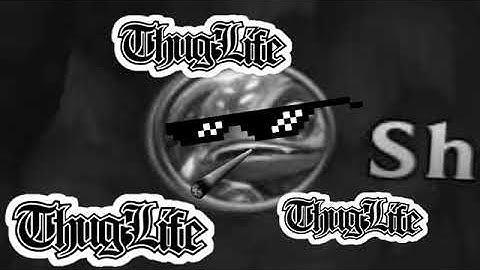 how to counter shaco xD league of legend  (high elo)