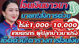 โอนเงินชาวนา นายกสั่งการด้วย ไร่ล่ะ1,000-10,000เกษตรกร ผู้ปลูกข้าวนาปรัง เช็คด่วน!ตารางการโอนเงิน