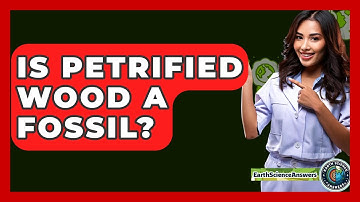 Is Petrified Wood A Fossil? - Earth Science Answers