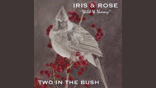 Vignette de la vidéo "Iris and Rose Wild and Thorny - Roll Me Over in the Clover"