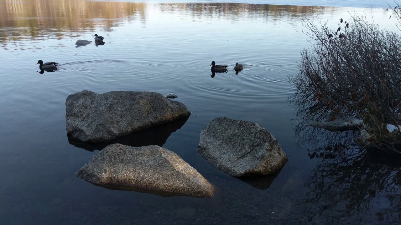 Halifax's Frog Pond Trail (April 3, 2017)
